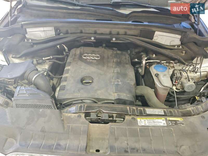 Внедорожник / Кроссовер Audi Q5 2017 в Львове фото 12 Внедорожник / Кроссовер Audi Q5 2017 в Львове