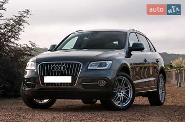 Внедорожник / Кроссовер Audi Q5 2014 в Львове