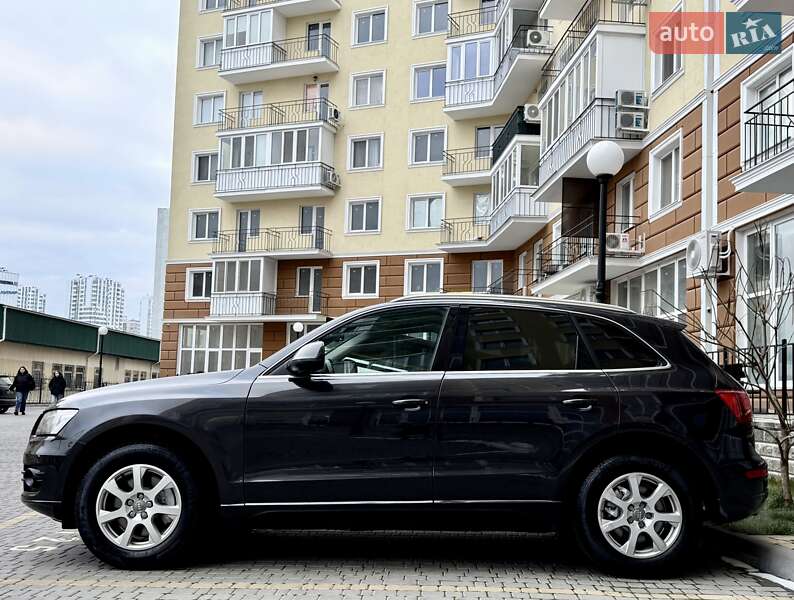 2009 Audi Q5, VIN WAUZZZ8R09A045688:plate — фото 1 (autoria)