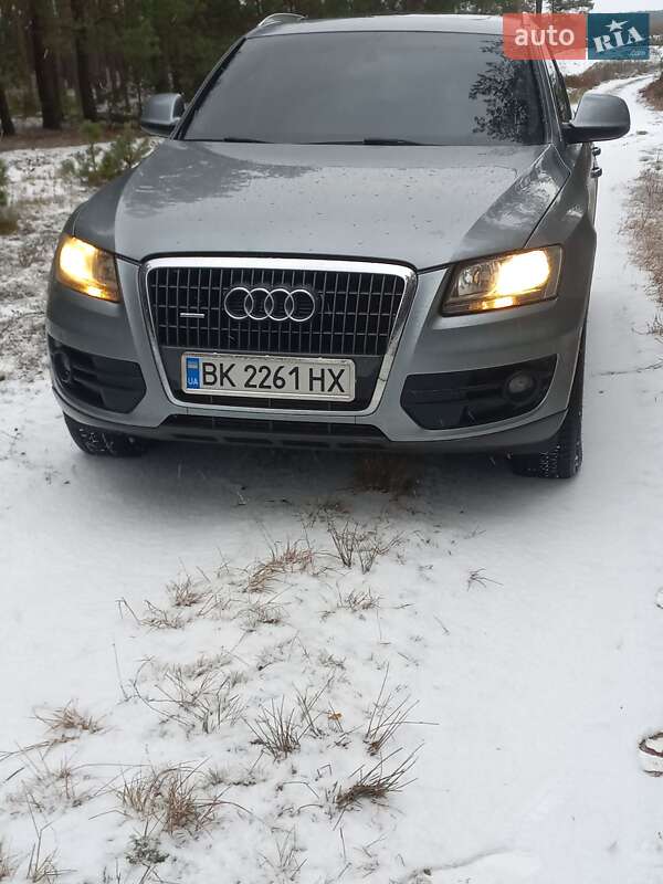 2009 Audi Q5, VIN WAUZZZ8R9AA066012:plate — фото 1 (autoria)