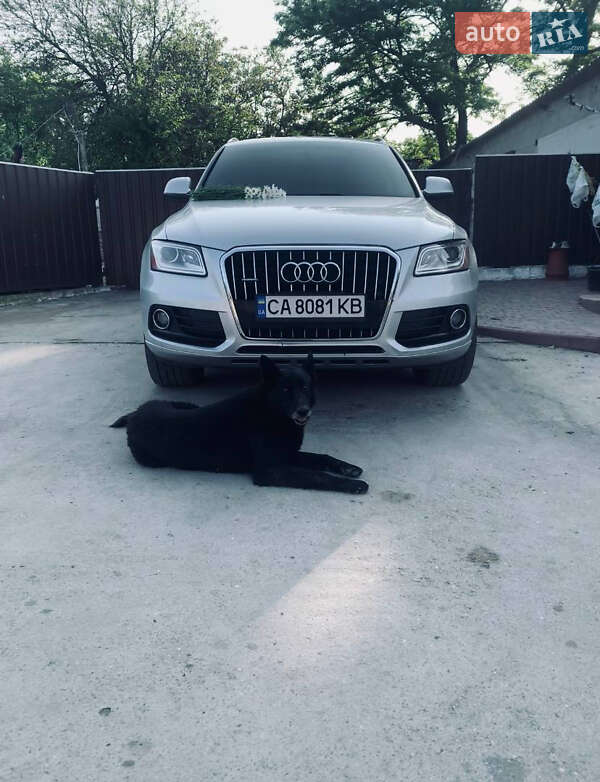 Внедорожник / Кроссовер Audi Q5 2012 в Кропивницком