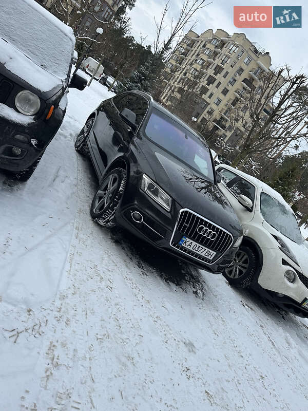 Позашляховик / Кросовер Audi Q5 2014 в Києві фото 45 Позашляховик / Кросовер Audi Q5 2014 в Києві