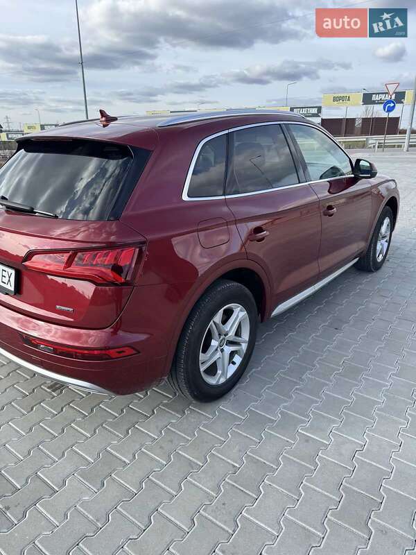 Внедорожник / Кроссовер Audi Q5 2019 в Тернополе