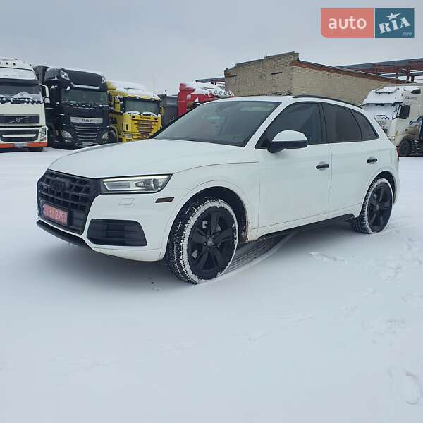 Внедорожник / Кроссовер Audi Q5 2017 в Луцке фото Внедорожник / Кроссовер Audi Q5 2017 в Луцке