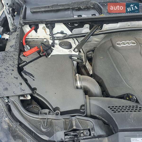 Внедорожник / Кроссовер Audi Q5 2017 в Луцке фото 35 Внедорожник / Кроссовер Audi Q5 2017 в Луцке