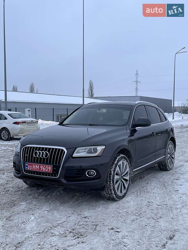 Внедорожник / Кроссовер Audi Q5 2013 в Луцке фото Внедорожник / Кроссовер Audi Q5 2013 в Луцке