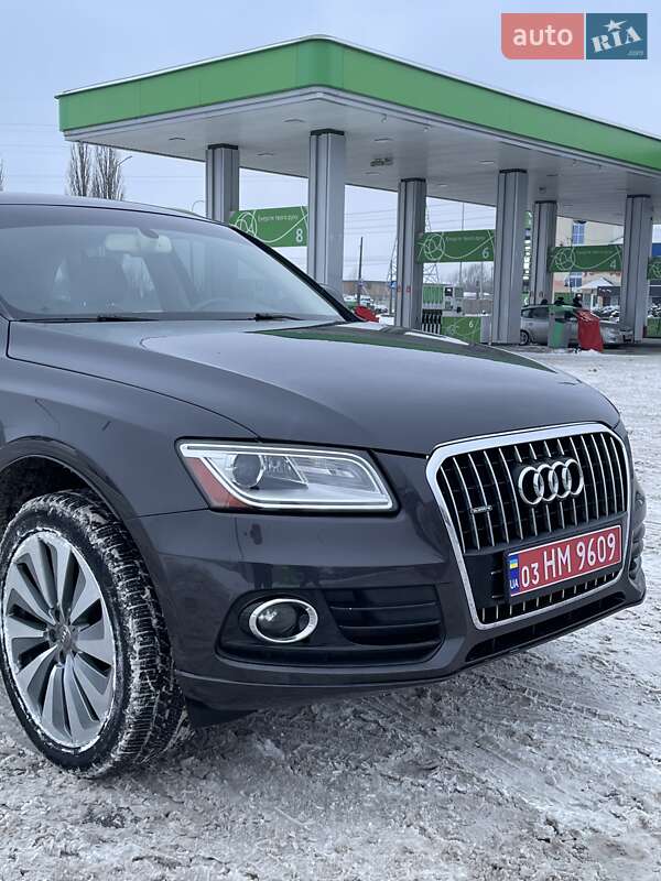 Внедорожник / Кроссовер Audi Q5 2013 в Луцке фото 12 Внедорожник / Кроссовер Audi Q5 2013 в Луцке
