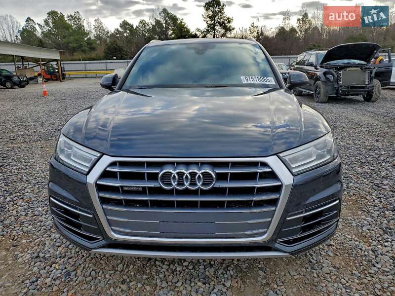 Внедорожник / Кроссовер Audi Q5 2019 в Ивано-Франковске