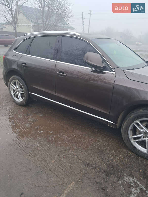 Внедорожник / Кроссовер Audi Q5 2013 в Кривом Озере