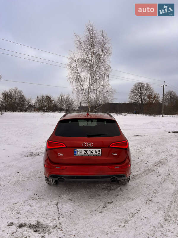 Внедорожник / Кроссовер Audi Q5 2014 в Костополе