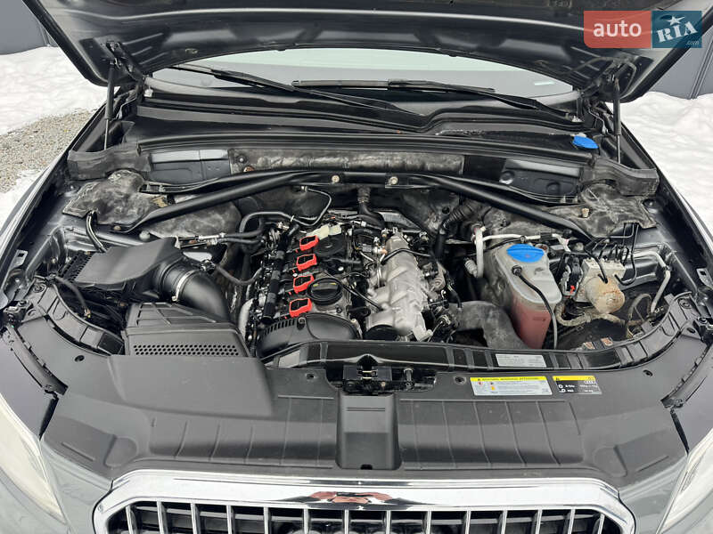 Внедорожник / Кроссовер Audi Q5 2015 в Луцке фото 52 Внедорожник / Кроссовер Audi Q5 2015 в Луцке