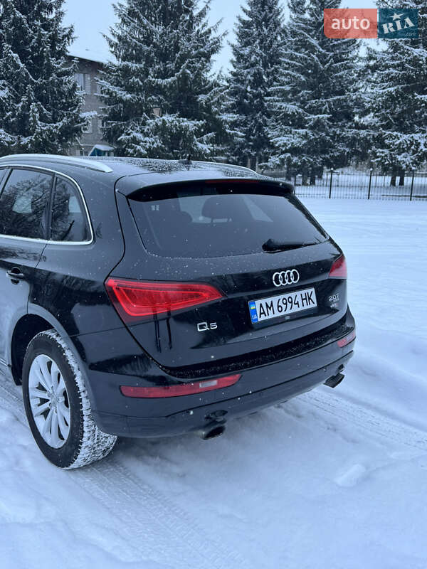 Внедорожник / Кроссовер Audi Q5 2013 в Бердичеве фото 15 Внедорожник / Кроссовер Audi Q5 2013 в Бердичеве