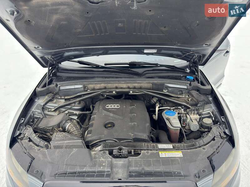 Внедорожник / Кроссовер Audi Q5 2011 в Хмельницком фото 14 Внедорожник / Кроссовер Audi Q5 2011 в Хмельницком