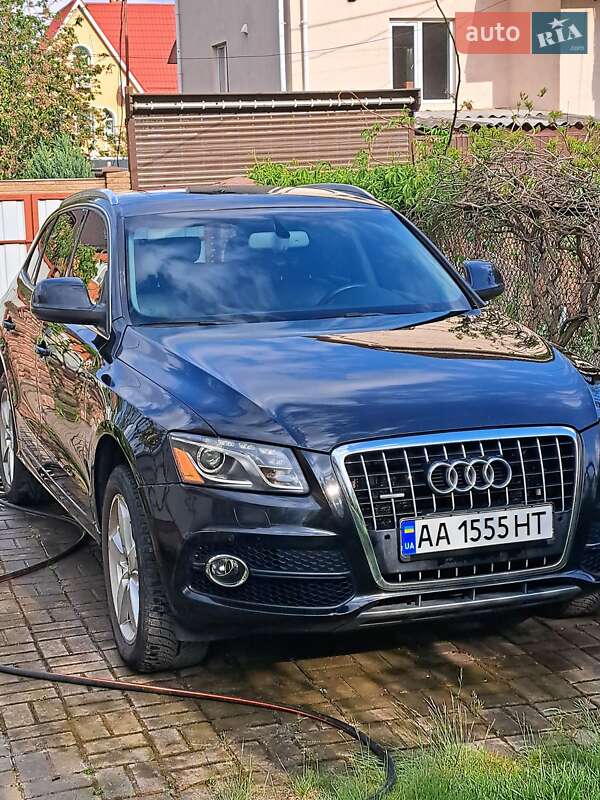 2011 Audi Q5, VIN WA1DKAFP1CA059461:plate — фото 1 (autoria)