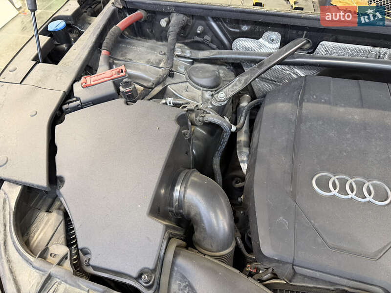 Внедорожник / Кроссовер Audi Q5 2021 в Киеве фото 41 Внедорожник / Кроссовер Audi Q5 2021 в Киеве