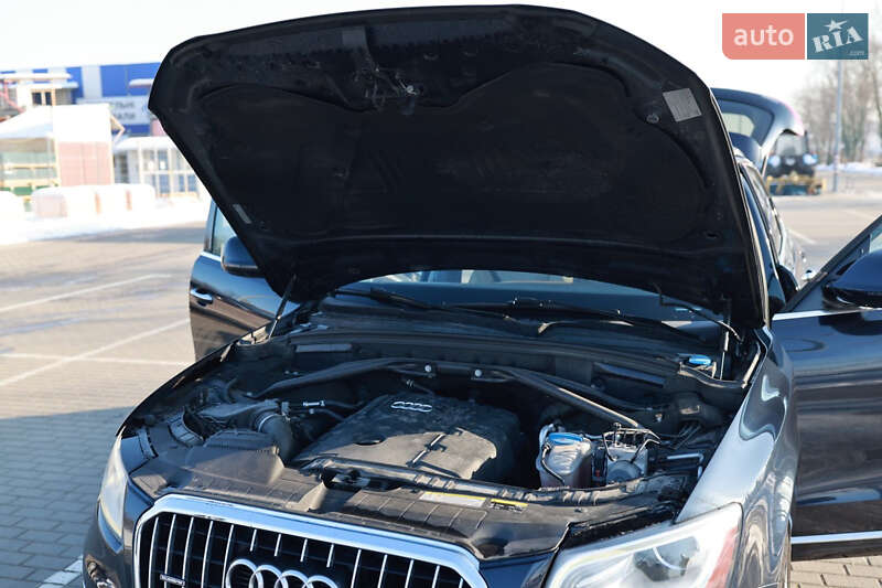 Внедорожник / Кроссовер Audi Q5 2016 в Коломые фото 42 Внедорожник / Кроссовер Audi Q5 2016 в Коломые