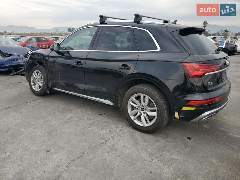 Внедорожник / Кроссовер Audi Q5 2023 в Бердичеве