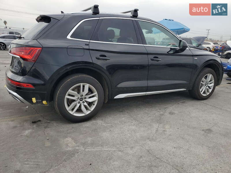Внедорожник / Кроссовер Audi Q5 2023 в Бердичеве