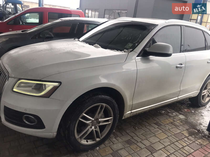 2014 Audi Q5, VIN WA1LFAFP9FA010819:plate — фото 1 (autoria)