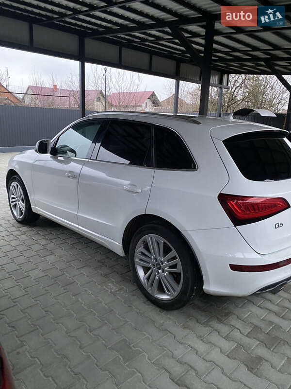 Audi Q5 2010 Audi Q5 2010