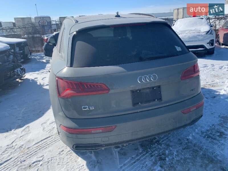 Внедорожник / Кроссовер Audi Q5 2019 в Ровно фото 41 Внедорожник / Кроссовер Audi Q5 2019 в Ровно