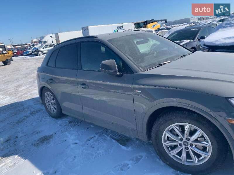 Внедорожник / Кроссовер Audi Q5 2019 в Ровно фото 52 Внедорожник / Кроссовер Audi Q5 2019 в Ровно