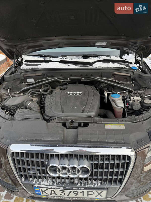 Внедорожник / Кроссовер Audi Q5 2011 в Вышгороде фото 27 Внедорожник / Кроссовер Audi Q5 2011 в Вышгороде