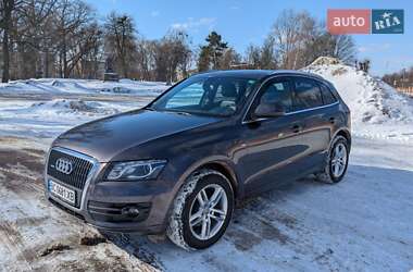 Позашляховик / Кросовер Audi Q5 2009 в Коростені