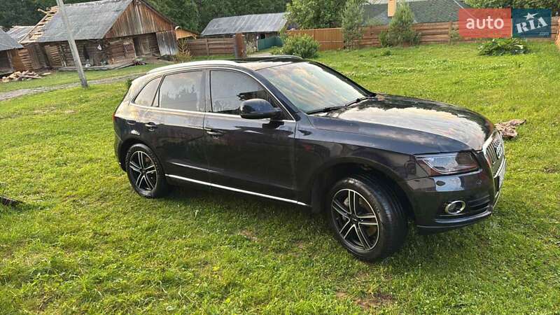 Внедорожник / Кроссовер Audi Q5 2013 в Сколе