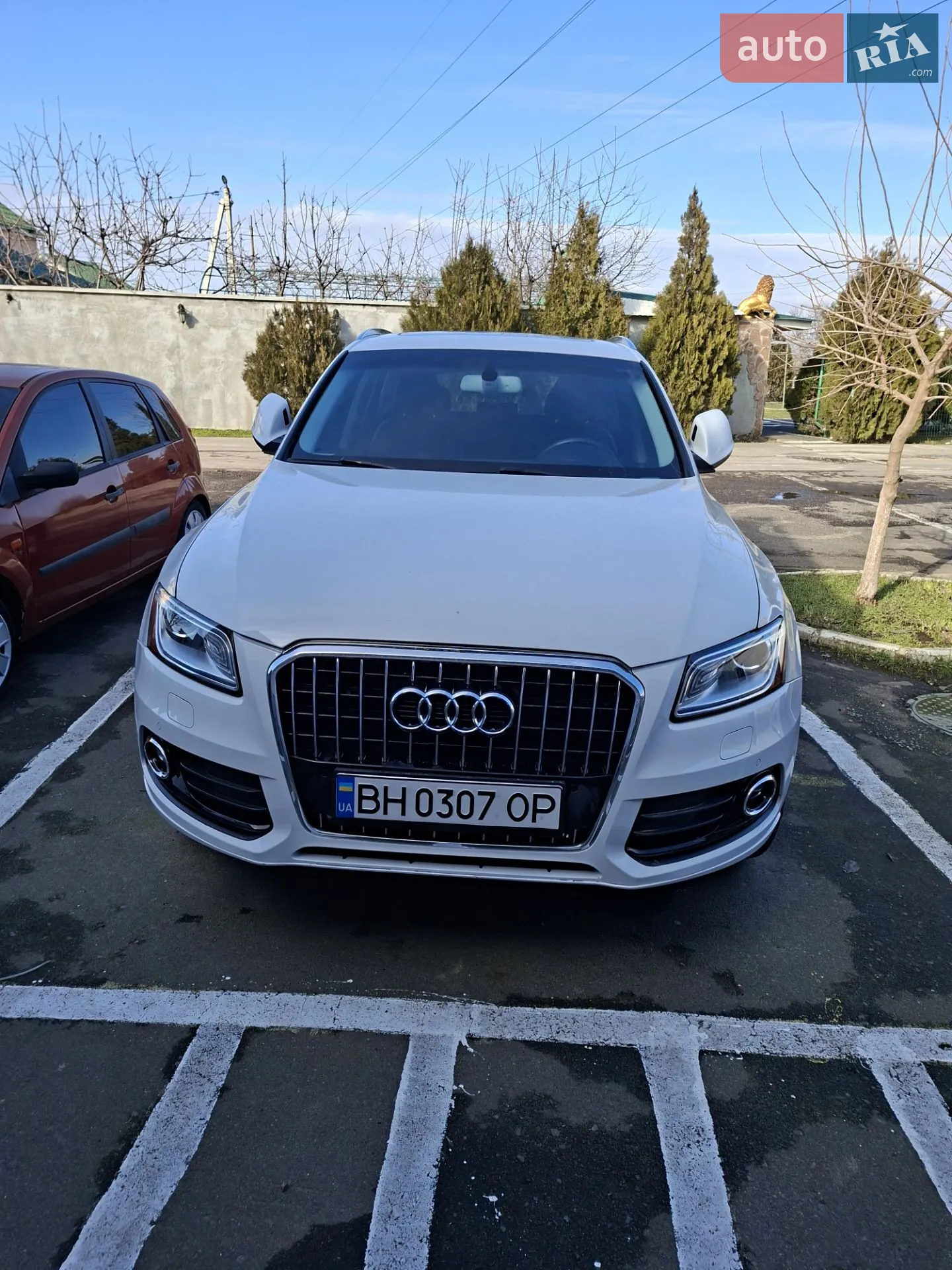 2014 Audi Q5 - фото 1