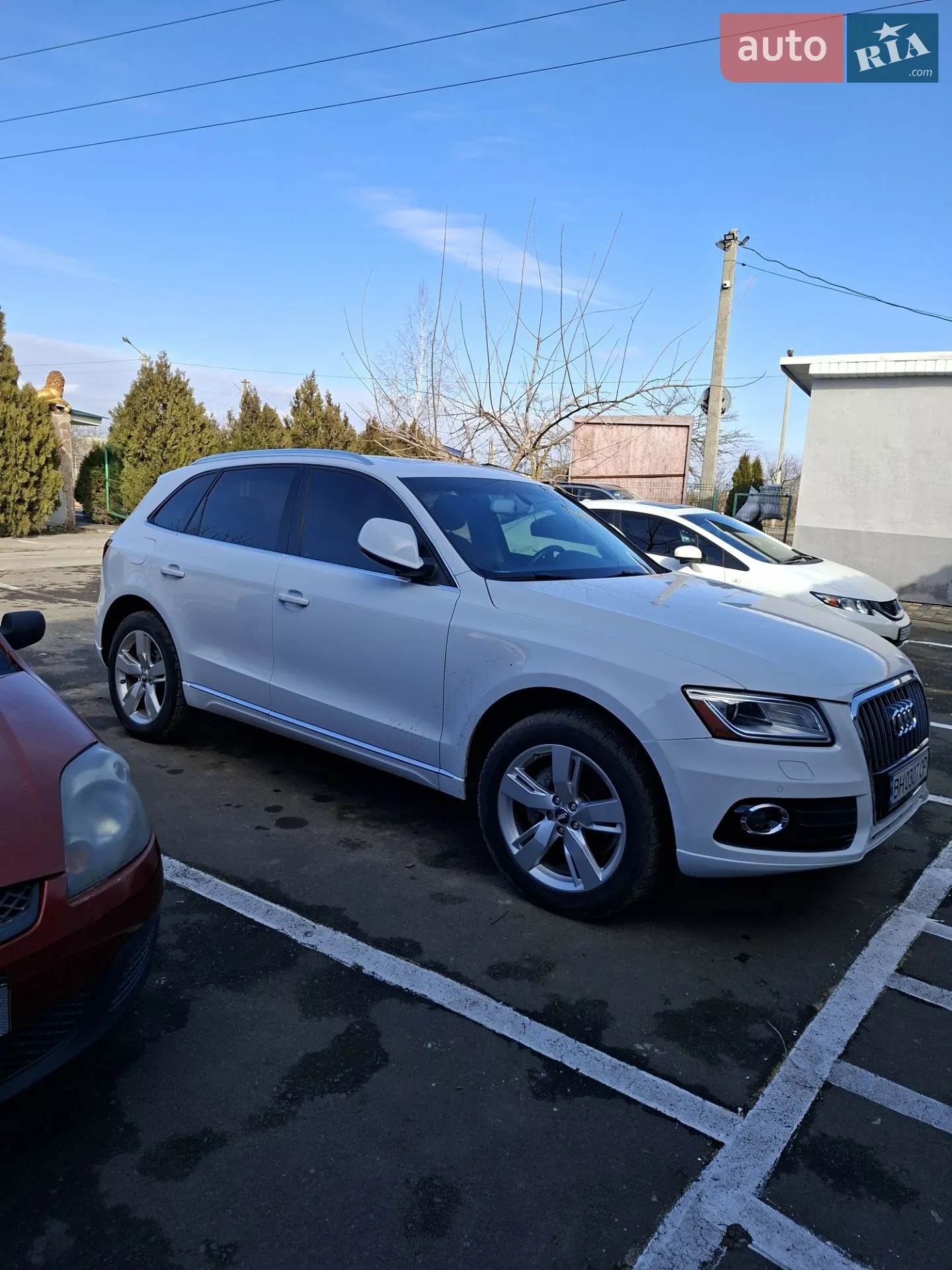 2014 Audi Q5 - мініатюра 5