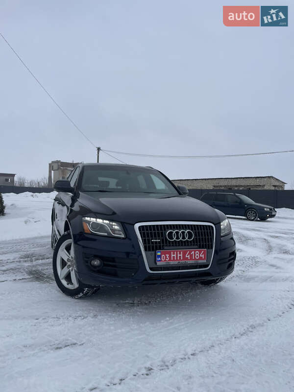 2011 Audi Q5, VIN WA1LFAFP8BA081309:plate — фото 1 (autoria)
