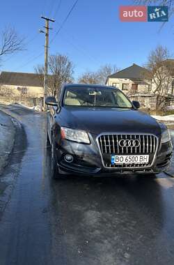 Внедорожник / Кроссовер Audi Q5 2014 в Тернополе