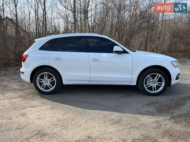 Внедорожник / Кроссовер Audi Q5 2015 в Старом Самборе фото 10 Внедорожник / Кроссовер Audi Q5 2015 в Старом Самборе