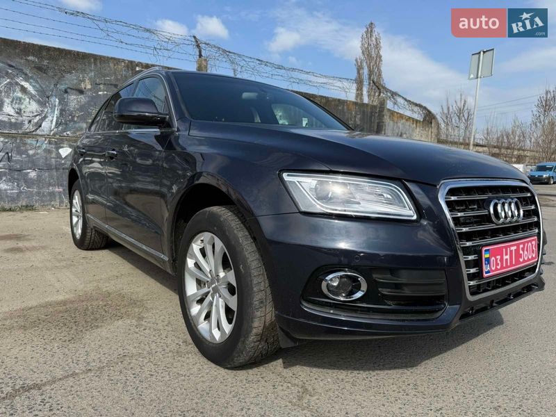 2016 Audi Q5, VIN WA1L2AFPXGA126608:plate — фото 1 (autoria)