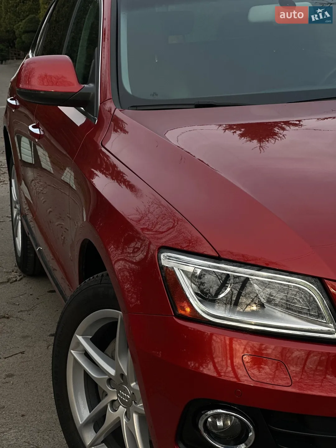 2014 Audi Q5 - мініатюра 12