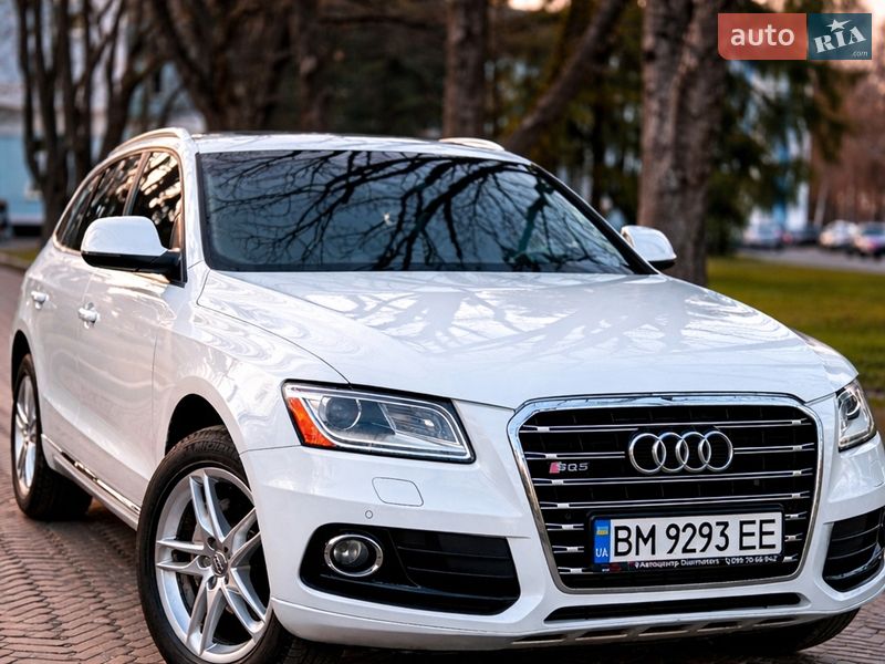 2013 Audi Q5, VIN WA1LFAFP4EA039188:plate — фото 1 (autoria)