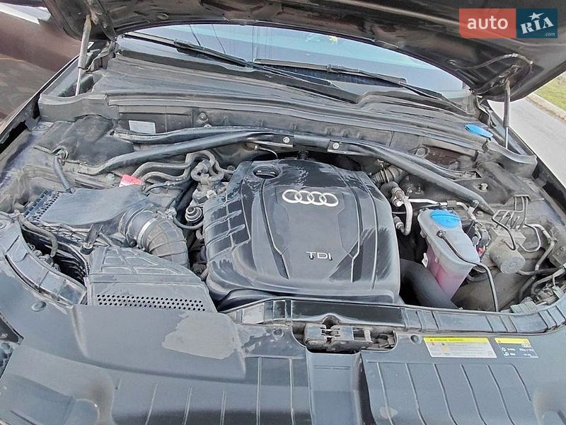 Внедорожник / Кроссовер Audi Q5 2014 в Черкассах фото 19 Внедорожник / Кроссовер Audi Q5 2014 в Черкассах