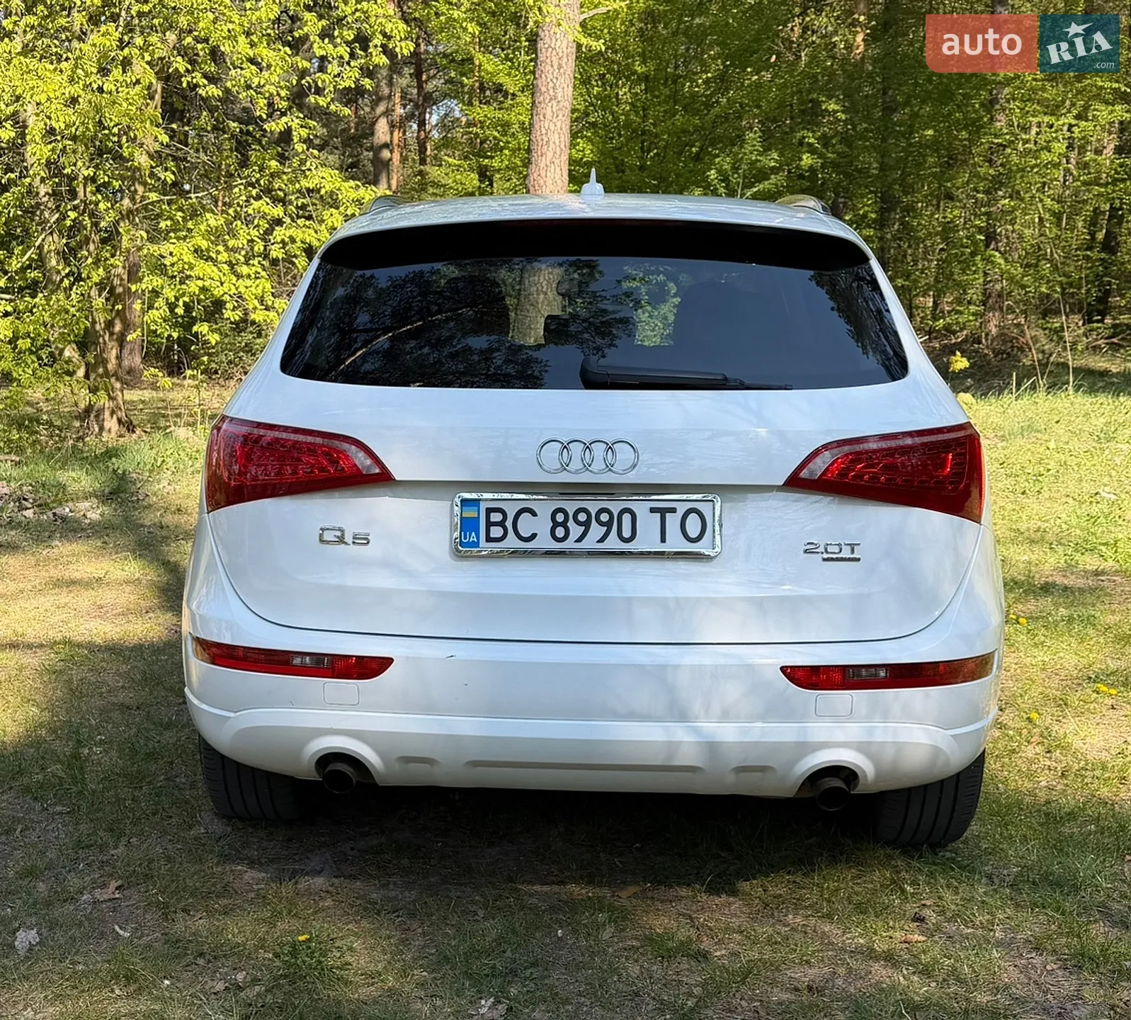 2010 Audi Q5 - мініатюра 5