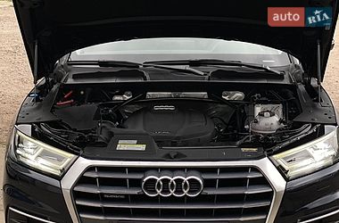 Внедорожник / Кроссовер Audi Q5 2019 в Львове