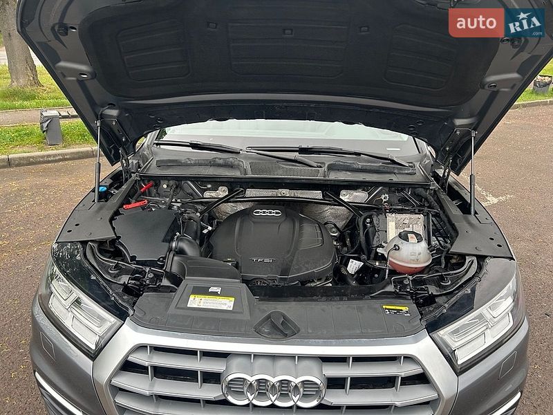Внедорожник / Кроссовер Audi Q5 2019 в Львове