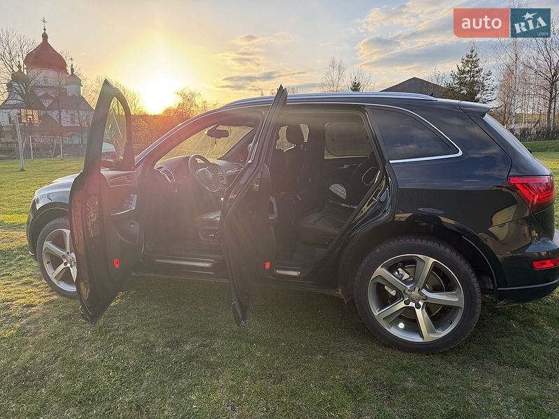 2013 Audi Q5, VIN WA1CMAFP2EA051037:plate — фото 1 (autoria)