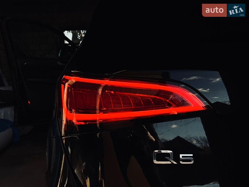 2014 Audi Q5, VIN WA1LFAFP2FA041913:plate — фото 1 (autoria)