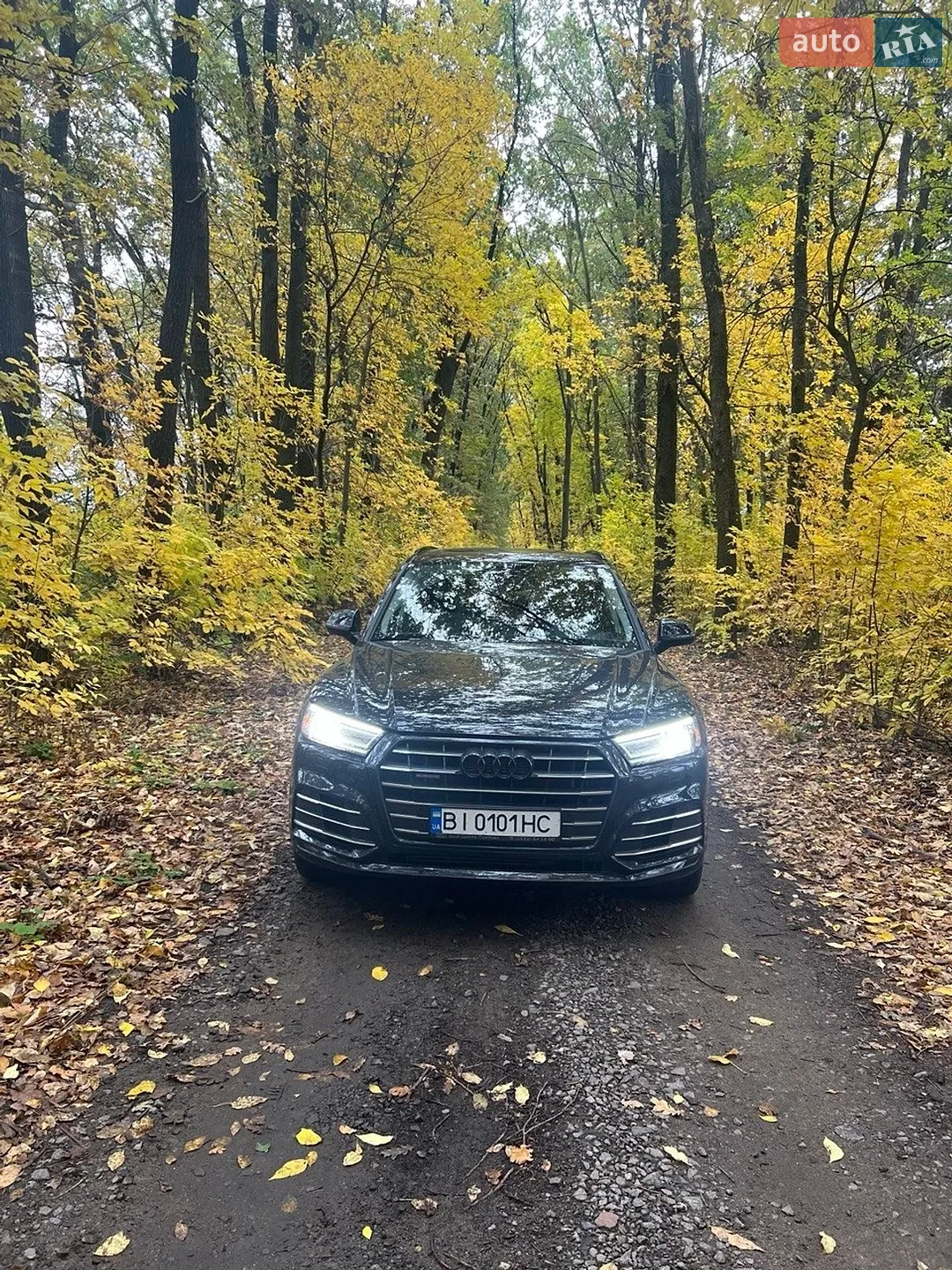 2019 Audi Q5 - мініатюра 3