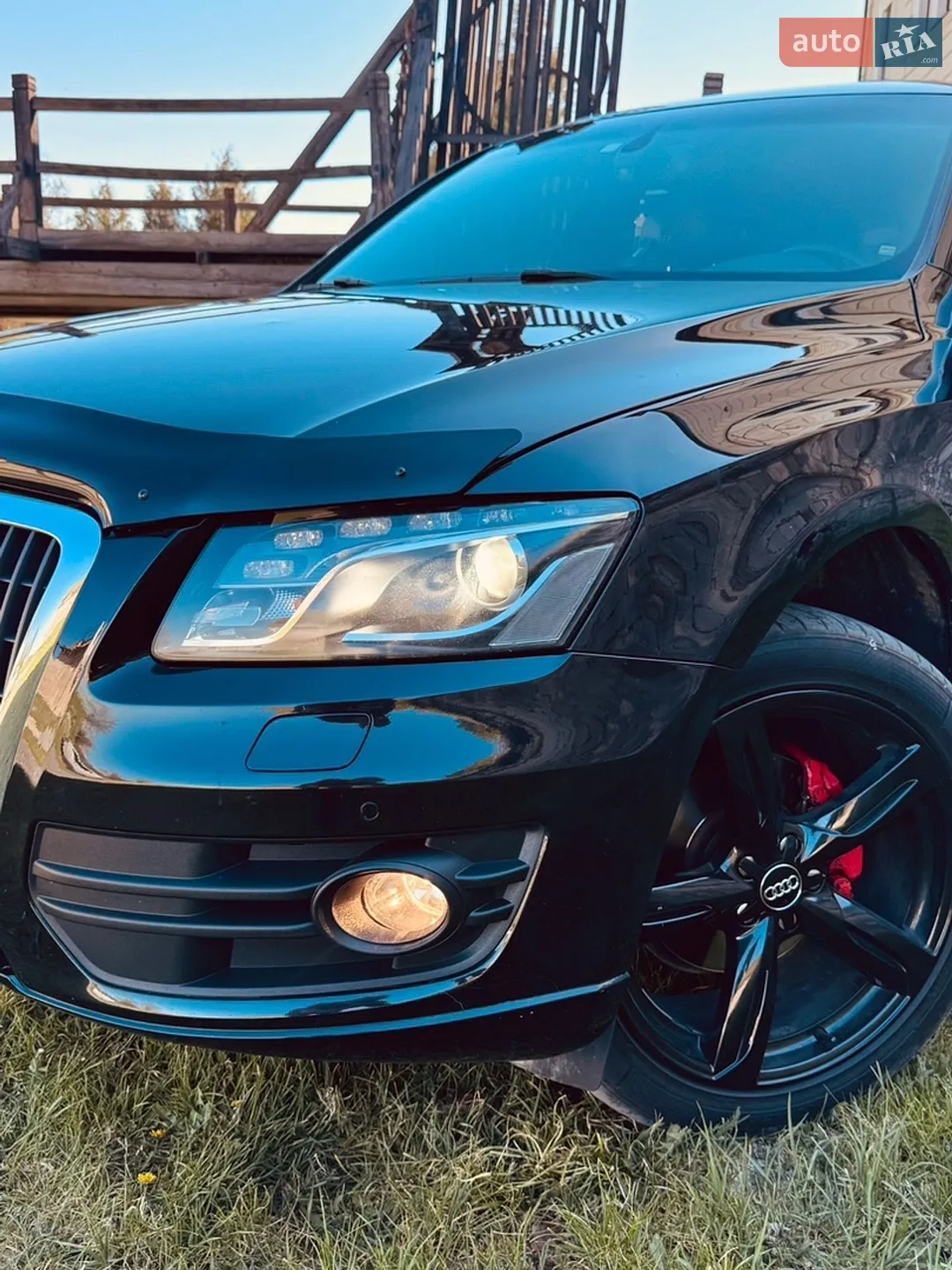 2010 Audi Q5 - мініатюра 5