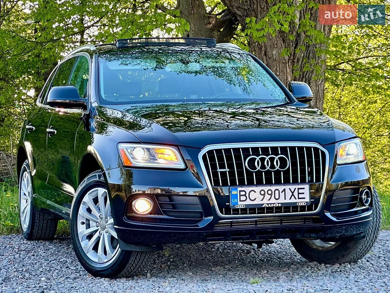 2015 Audi Q5 - мініатюра 15