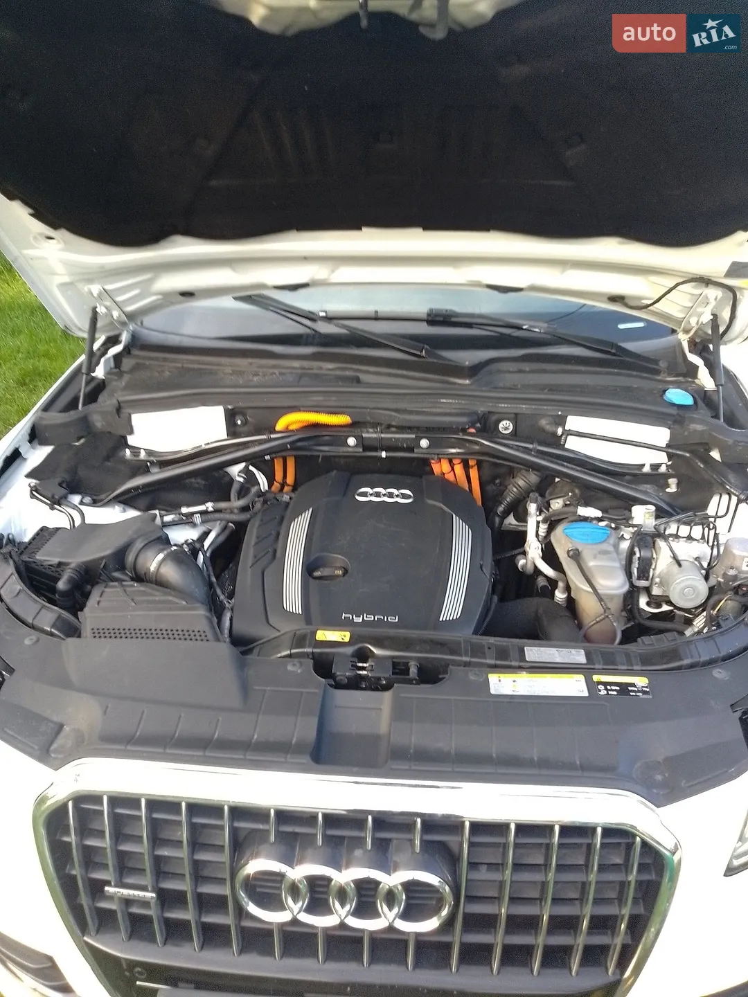 2013 Audi Q5 - мініатюра 4