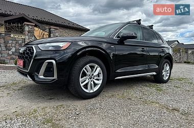 Внедорожник / Кроссовер Audi Q5 2023 в Бердичеве