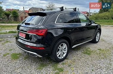 Внедорожник / Кроссовер Audi Q5 2023 в Бердичеве