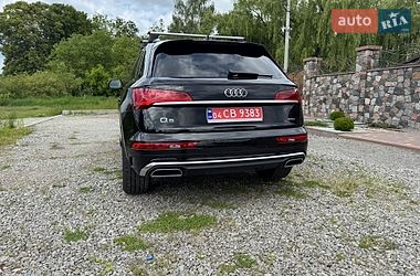 Внедорожник / Кроссовер Audi Q5 2023 в Бердичеве